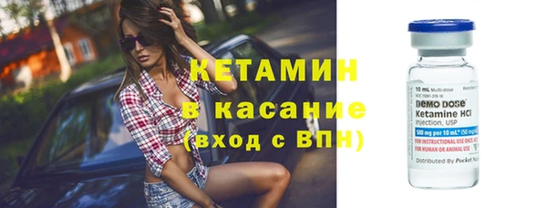 сатива Алзамай
