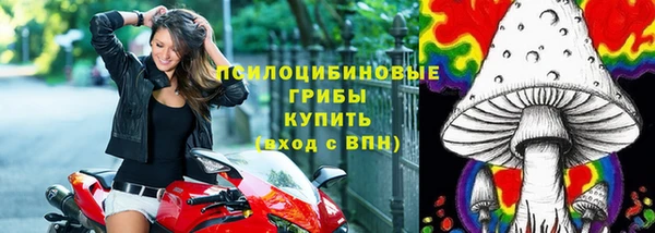 дмт Алексеевка