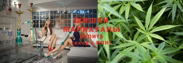 сатива Алзамай