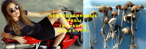 сатива Алзамай